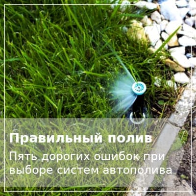 Автополив газона