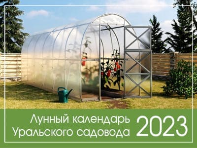 Теплица календарь 2023