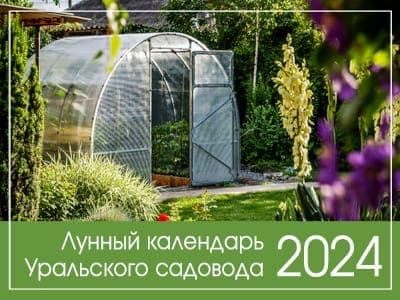 Теплица календарь 2024