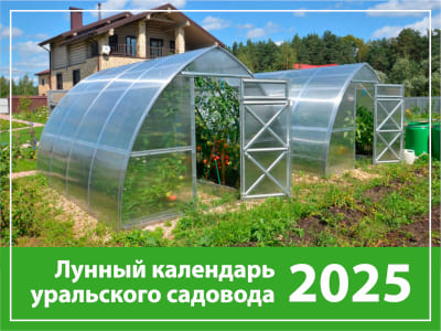 Теплица календарь 2025