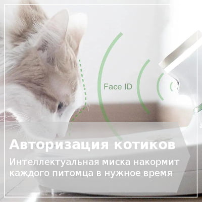 Определение домашнего питомца Миска с искусственным интеллектом