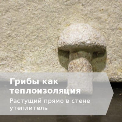 Грибная теплоизоляция