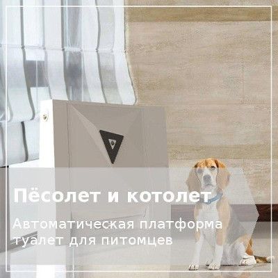 Домашний туалет для собак